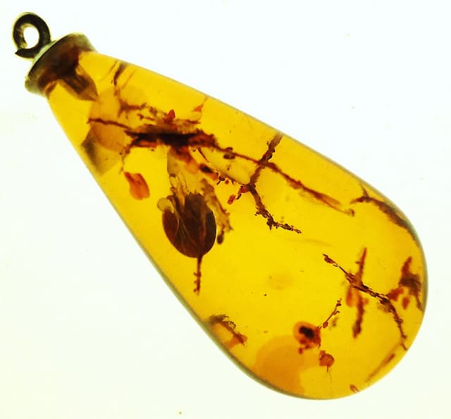 Amber Faceting Information