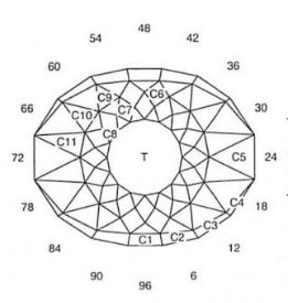 Lion’s Eye: Faceting Design Diagram