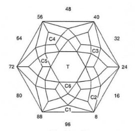 Muse: Faceting Design Diagram