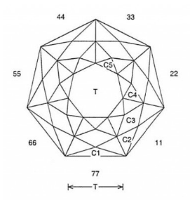 Seven Rattle: Faceting Design Diagram