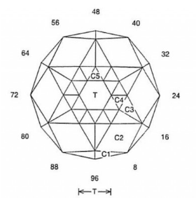 Tantra: Faceting Design Diagram